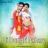 About Oi Dungri Pahare Song